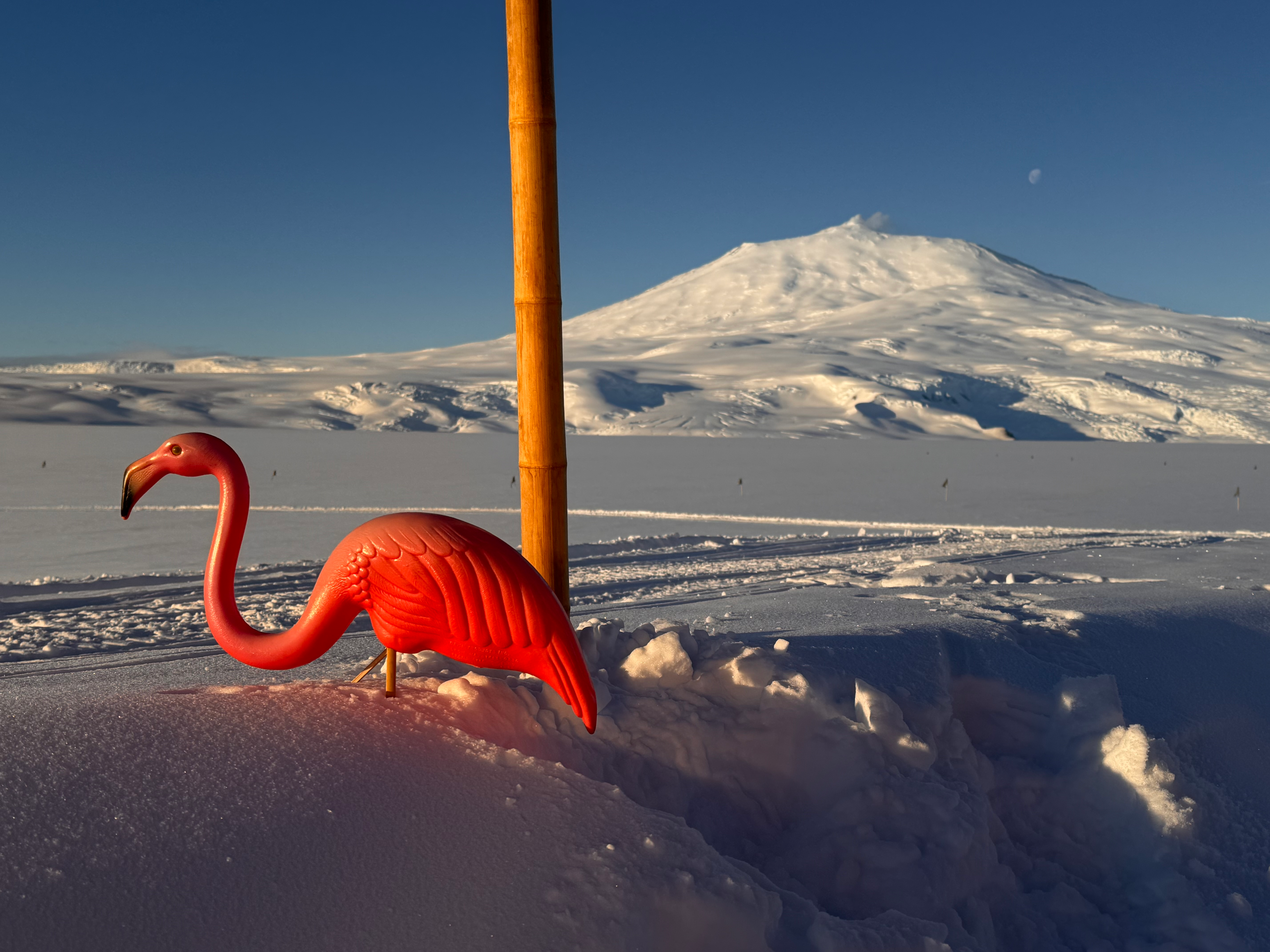 Mount Erebus, the Moon, and our mascot